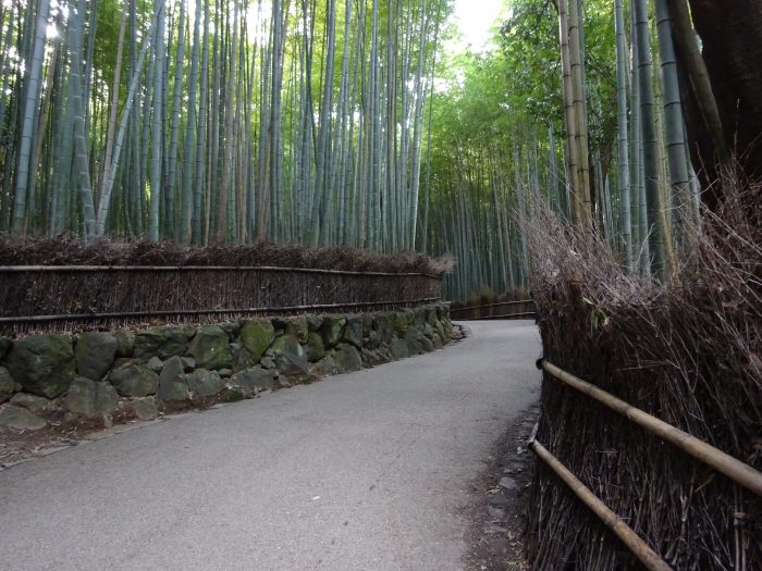 竹林の小径